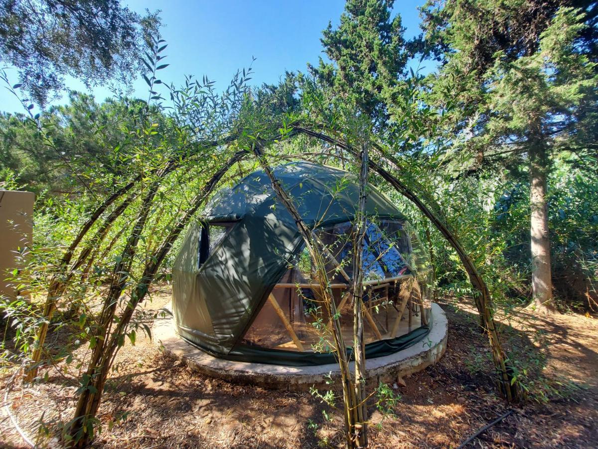 Salema Eco Camp - Sustainable Camping & Glamping ภายนอก รูปภาพ